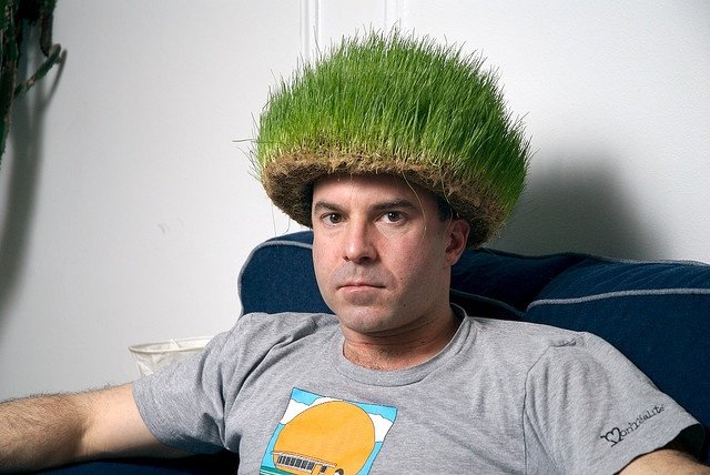 hat gerrit grass kinder