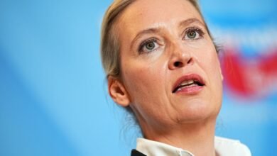 alice weidel ohr