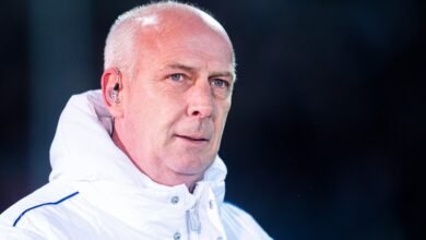 mario basler vermögen